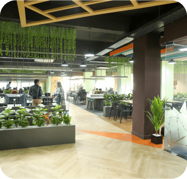 Office Tour Image