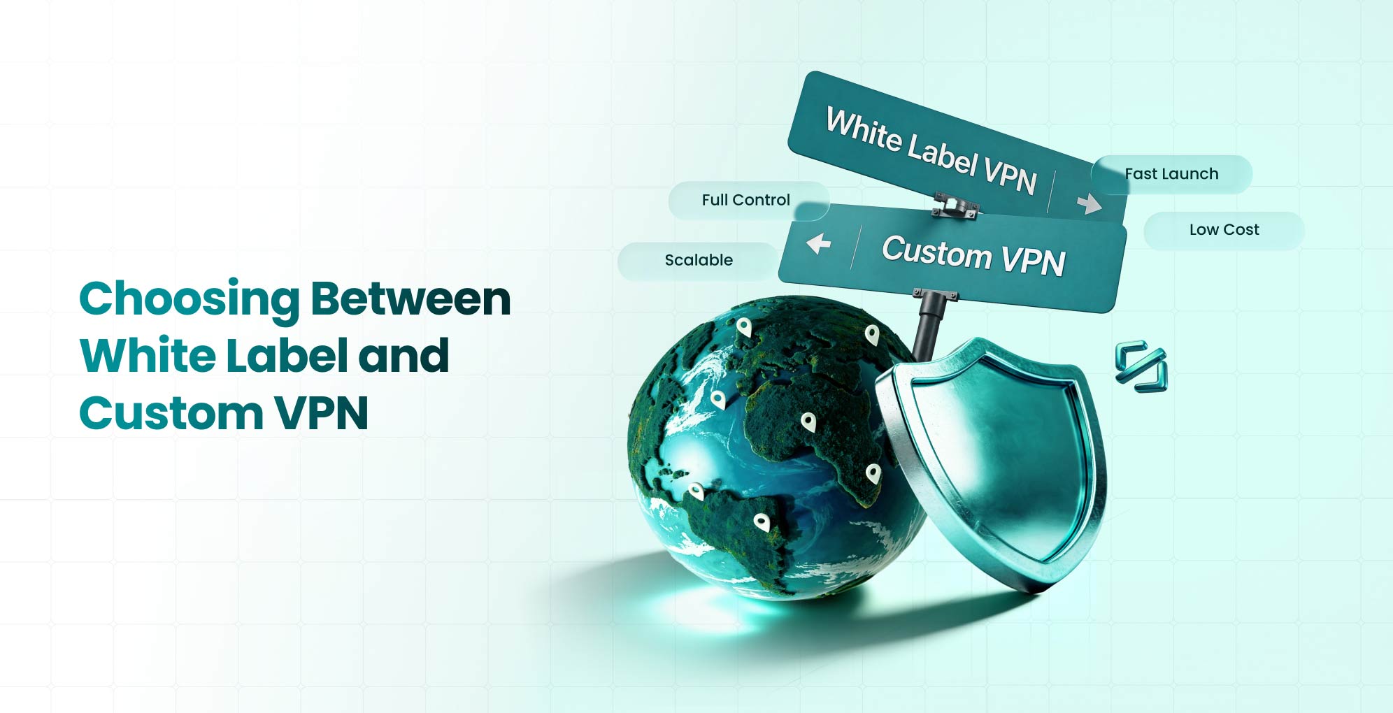 White Label VPN vs Custom VPN